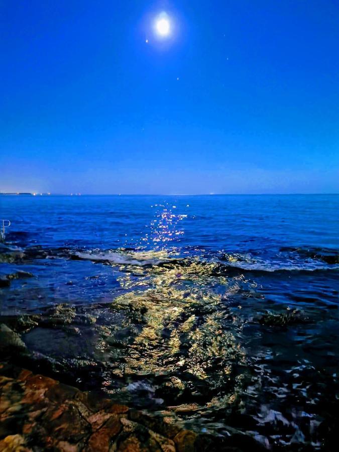 Aria Deluxe Superior 5 Star Apartment, Your Piece Of Heaven By The Sea & Park, With Sea & Park View Novigrad Istria エクステリア 写真