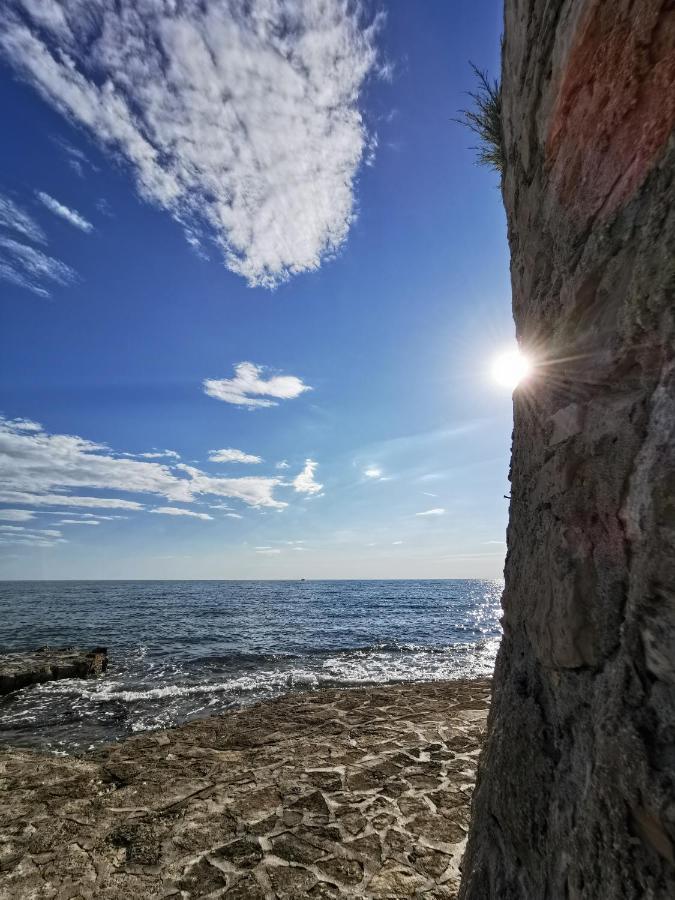 Aria Deluxe Superior 5 Star Apartment, Your Piece Of Heaven By The Sea & Park, With Sea & Park View Novigrad Istria エクステリア 写真